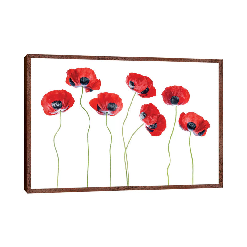 Ladybird Poppies by Mandy Disher - Print on Canvas, Classic Brown Wood Framed, 45.72cm H x 66.04cm W x 3.81cm D