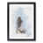 Black Framed selected