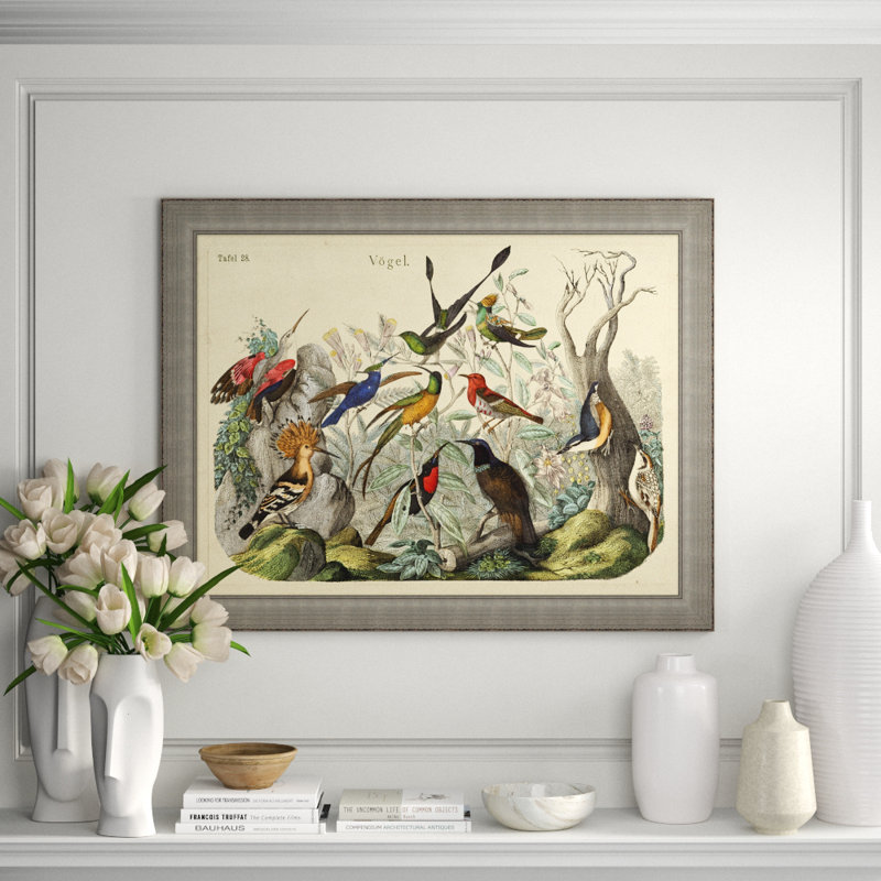 Vogels Aviary 2 Print