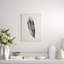 Charcoal Feathers I Print by Beverly Fuller-26941247-26941248