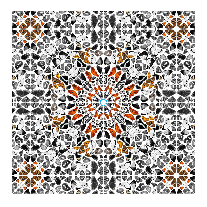 Modern Art - Wings Of A Butterfly by 5by5collective - Wrapped Canvas Print, 45.72 cm H x 45.72 cm W x 1.91 cm D