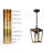 Alexia 1-Light Outdoor Hanging Light
