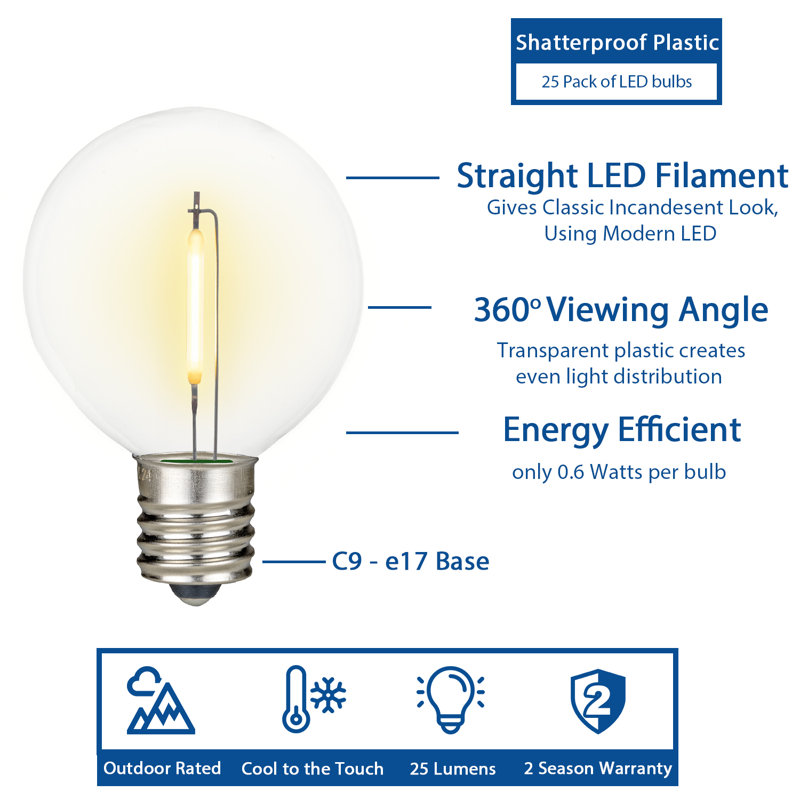 Doyne 25'' Outdoor LED 25 - Bulb Globe String Light (End to End Connectable), Black