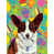 Corgi (brun et blanc) sélectionné