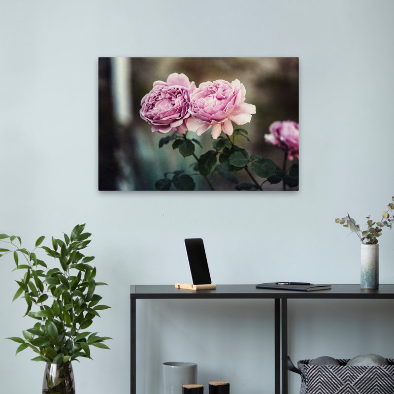 Plantes, fleurs, roses écossaises, art mural, H 16 po x l 24 po