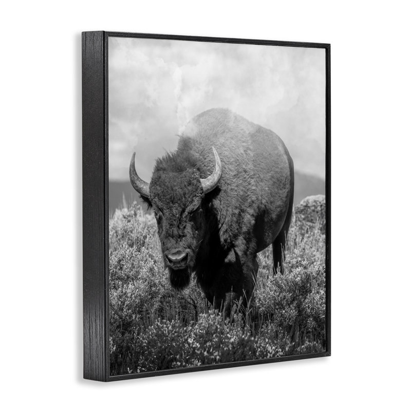 Giclée encadrée, dessin par Marcus Prime, H 14 po x l 11 po, Giclée encadrée noir minuit