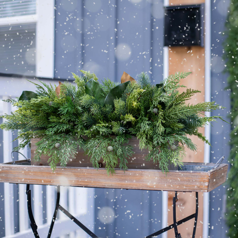 Arrangements floraux en pot