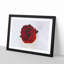 Red Rose in Bloom - Framed Print-56758702-56758703