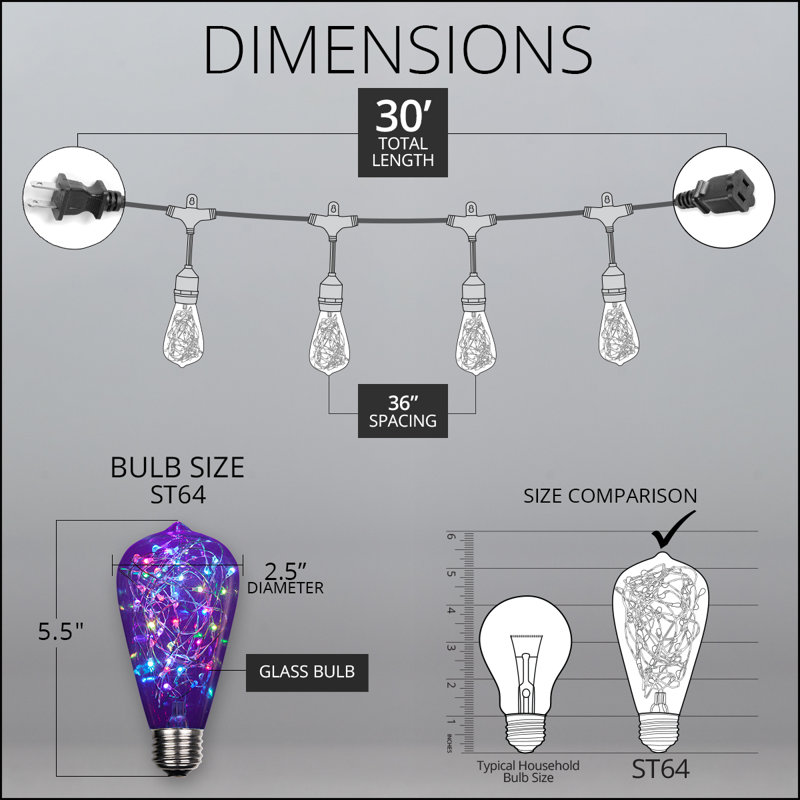 Kallie Outdoor 10 - Bulb 30'' Plug-in String Light, Clear/Purple