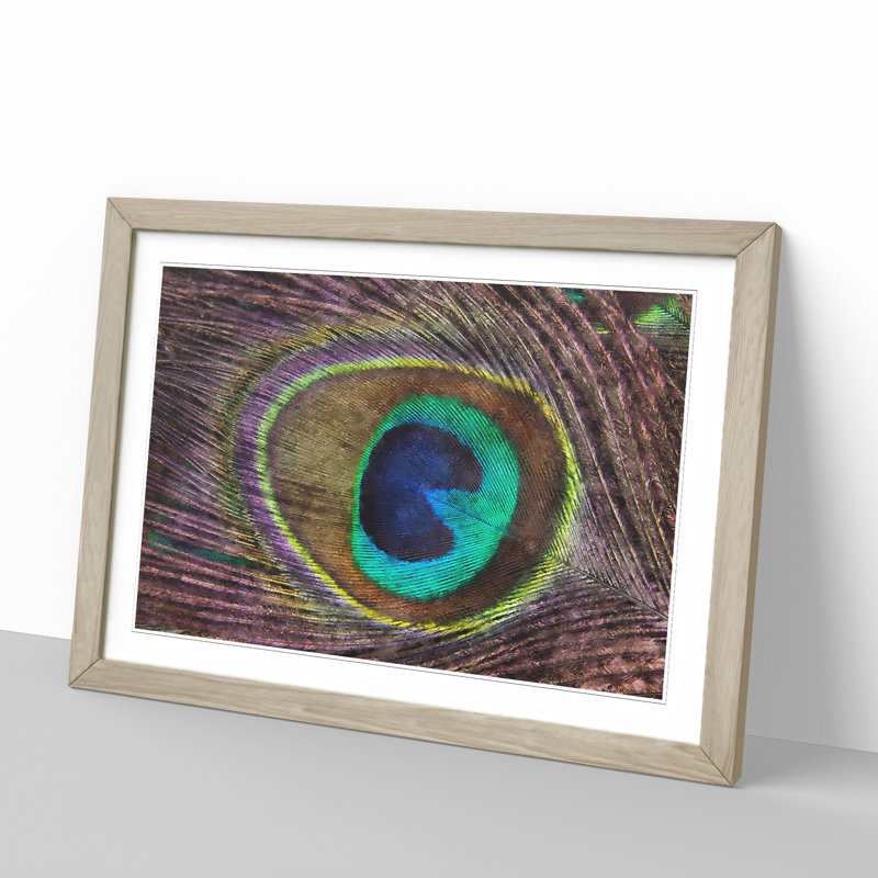 Peacock Feather - Framed Print, 48cm H x 65cm W x 2cm D, Oak Framed
