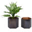 Metal Pot Planter-384225442