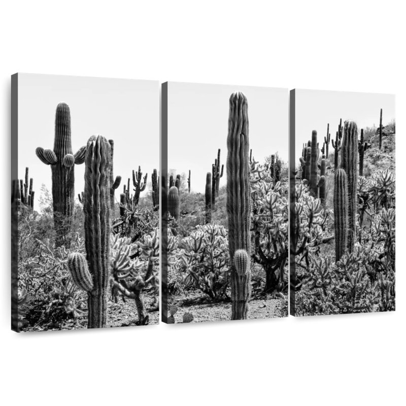 Harnek Black Arizona - Amazing Cactus I, 24" H x 38" W
