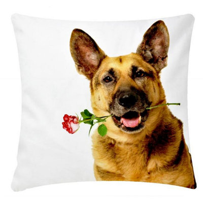 Brennda Square Cushion Cover