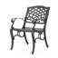 Chaise avec accoudoirs PHOENIX (ensemble de 2)-1438456601