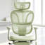 Chaise de bureau ergonomique avec repose-pieds rétractable et soutien lombaire dynamique-1454268002