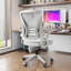 Ergonomic Mesh Office Chair-2035712604