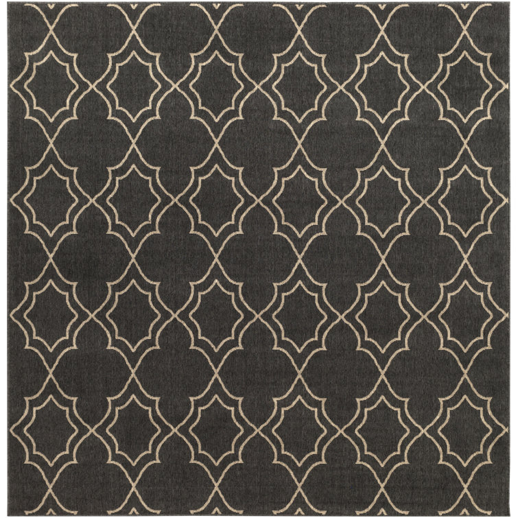 Amato Rug