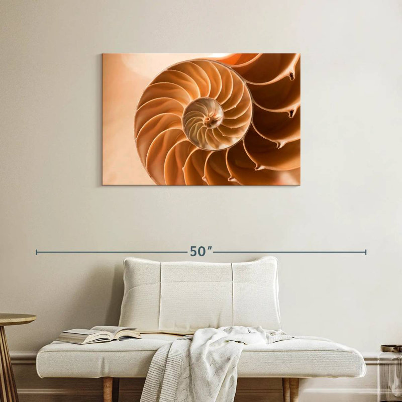 Aletra Nautilus Shell Inside, 24" H x 36" W
