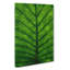 Green Leaf Lines - Wrapped Canvas Painting-56667334