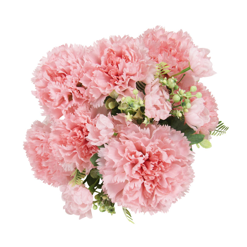 Oeillet, Rosé