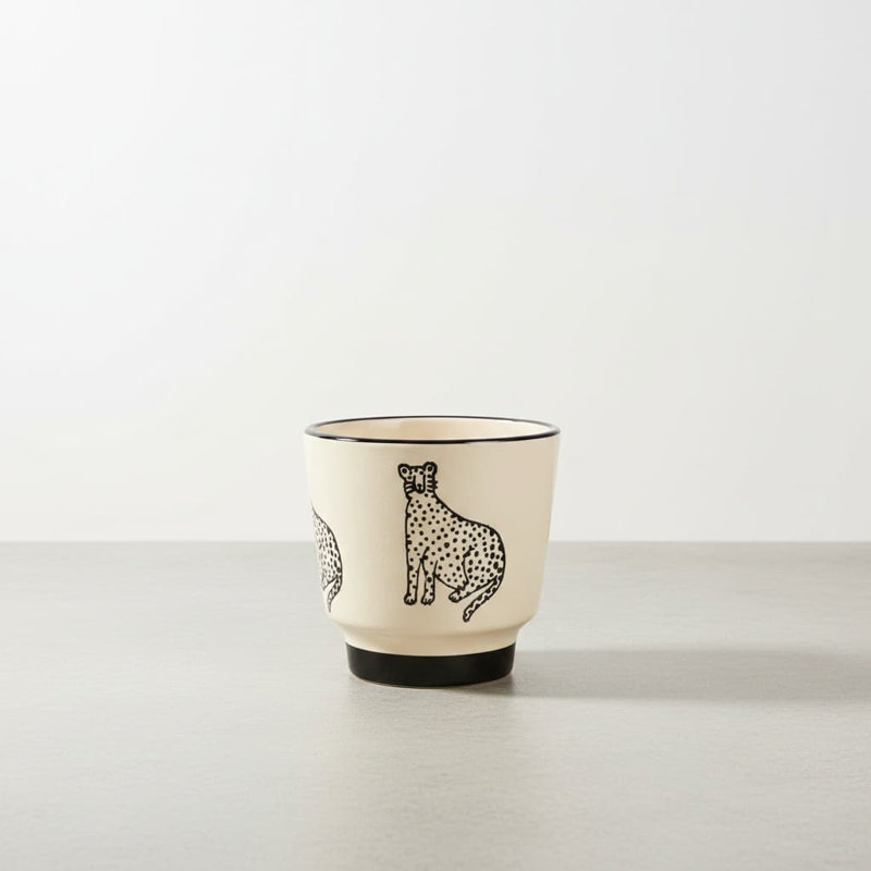 Ceramic Pot Planter