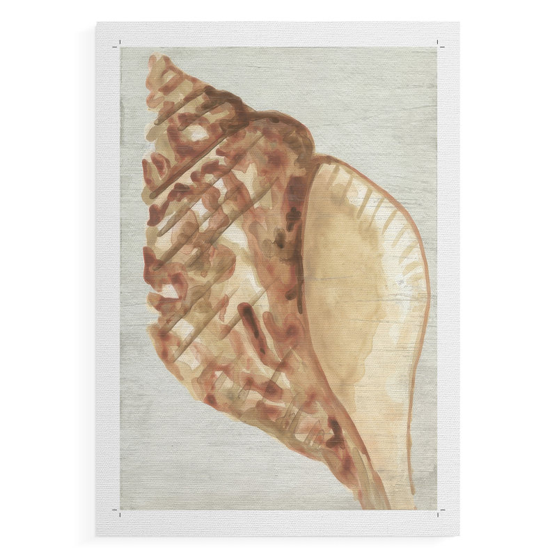 «Vintage Shell Vignette IV», impression sur toile seulement - non encadrée, H 18 po x l 12 po