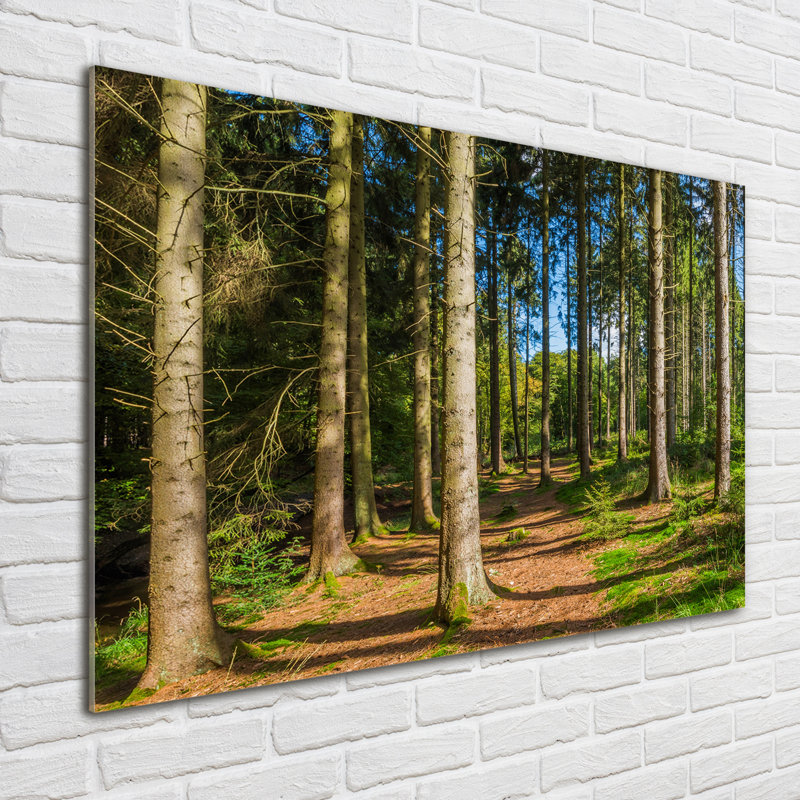 Panorama Of The Forest - No Frame Print on Glass