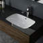 Bloom 21.7 in. L Bathroom Sink-854186388
