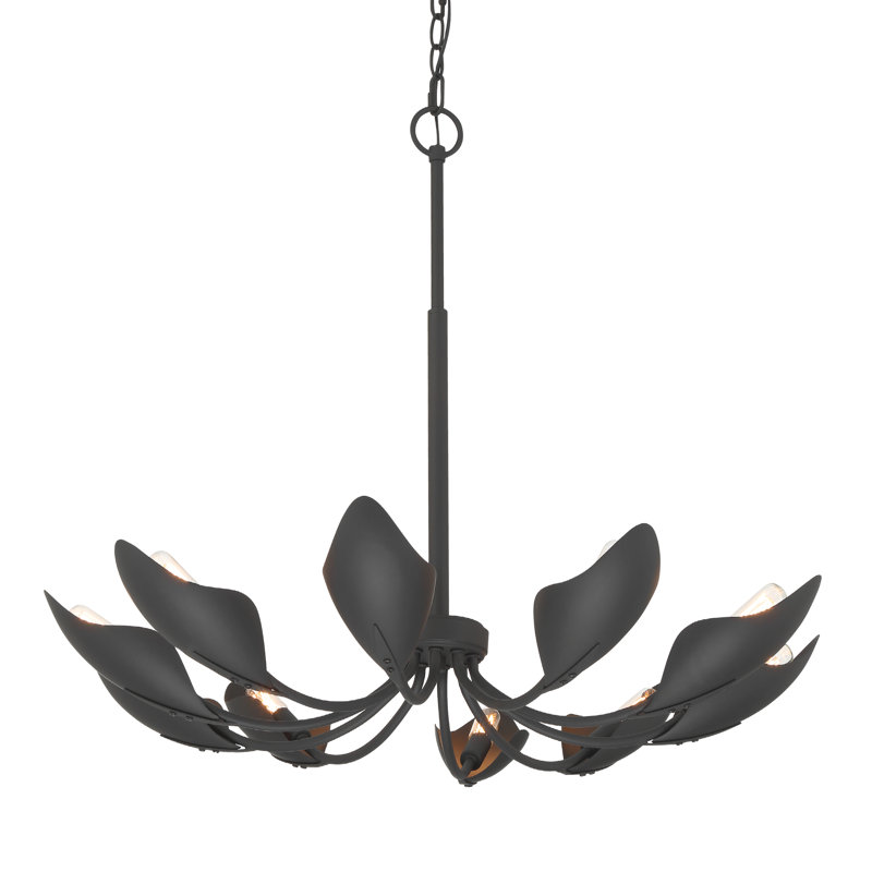 Hunter Juneway 10 Light Medium Chandelier Ceiling Light Fixture, Black
