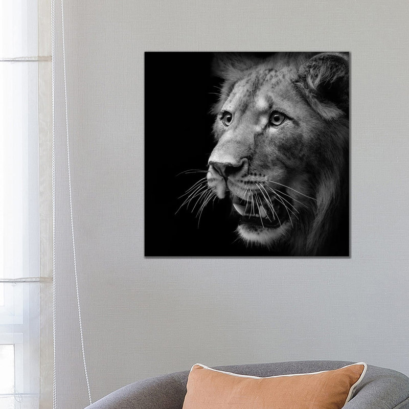 Lion In Black And White III by Lukas Holas - Wrapped Canvas Print, 66.04 cm H x 66.04 cm W
