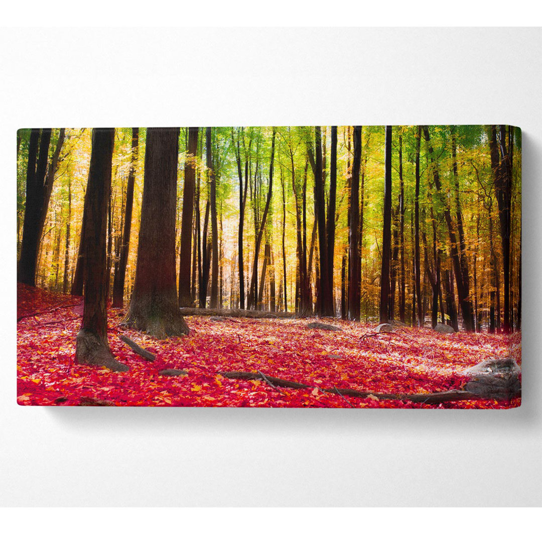 Shaddix Autumn Leaves - Kunstdrucke auf Leinwand - Wrapped Canvas