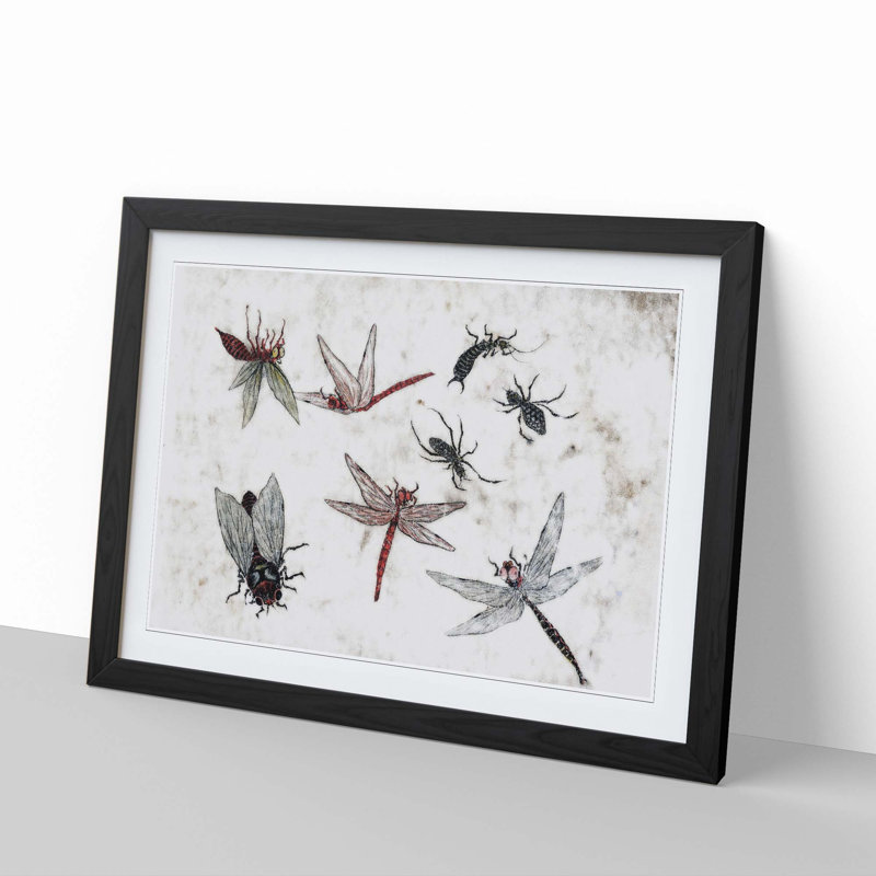 Insects Vol.2 by Katsushika Hokusai - Framed Print, 36cm H x 48cm W x 2cm D, Black Framed