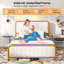 Lagro Upholstered Bed