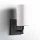 Single Dimmable Vanity Light