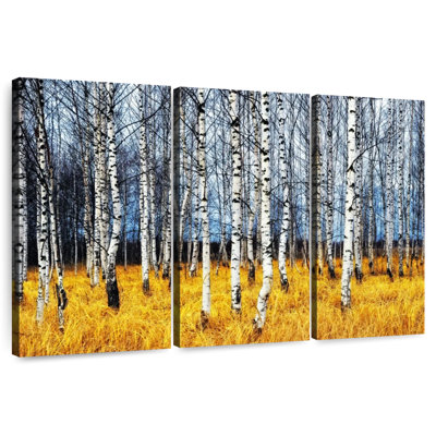Harnek Birch Trees In Fall