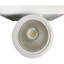 Encina LED Wall Light-1902152208