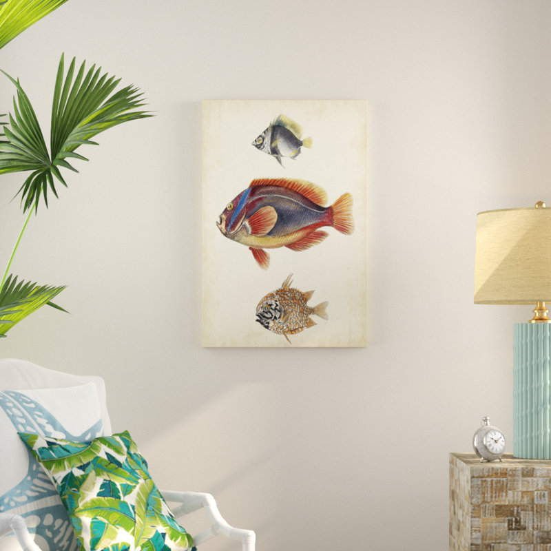 Antique Fish Species IV - Painting, 91cm H x 61cm W, Wrapped Canvas