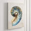 Shell Compilation III Print by Beverly Fuller-27255489-27255494
