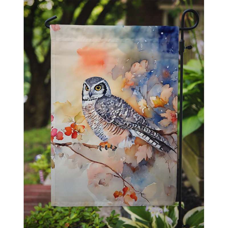 Drapeau du jardin Northern Hawk Owl_DAC3244