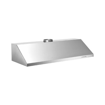 48"" Professional Series 600 CFM Convertible Wall Mount Range Hood in Stainless Steel -  Bertazzoni, KU48PRO1X14