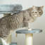 65cm H Cat Tree-1180451324