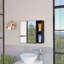 Armoire à pharmacie, miroir, deux tablettes extérieures, armoire à une porte, trois tablettes intérieures-238263242