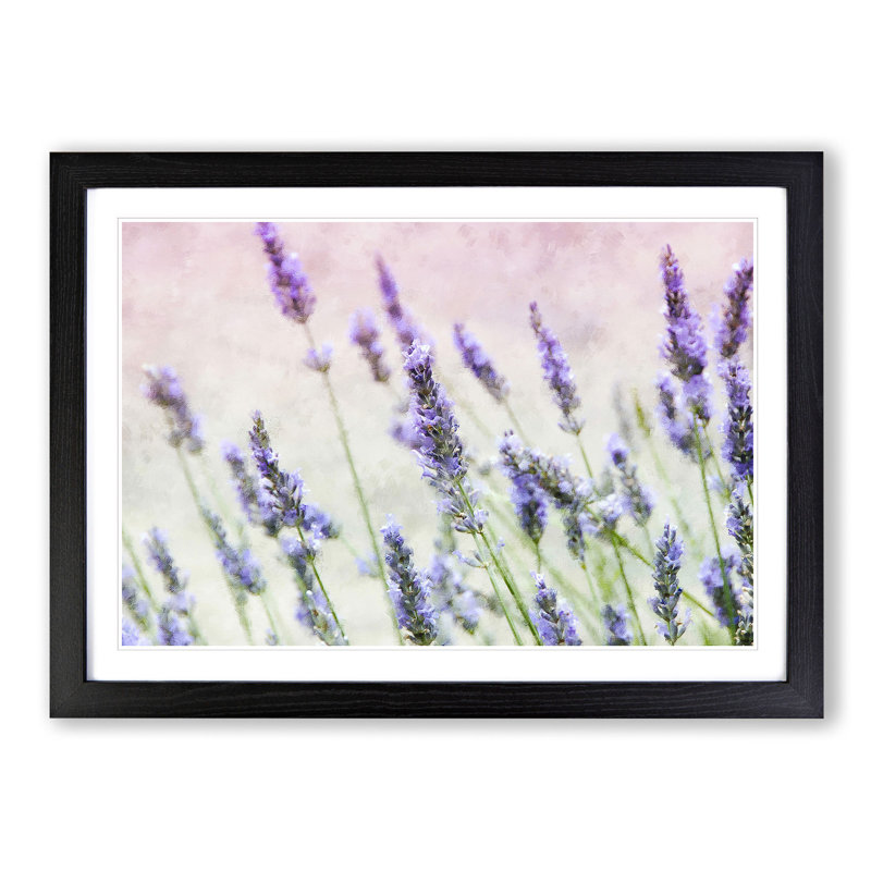 A Field Of Lavender - Single Picture Frame Print on MDF, Black, 24cm H x 33cm W x 2cm D