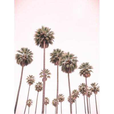 Blush Pink Palms by Josie George — Still Life Wall Art