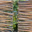 Willow Woven Trash Can Enclosure