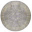 Silk Oriental Area Rug