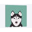 Husky, impression sur toile tendue-19741847-74737755-74737756