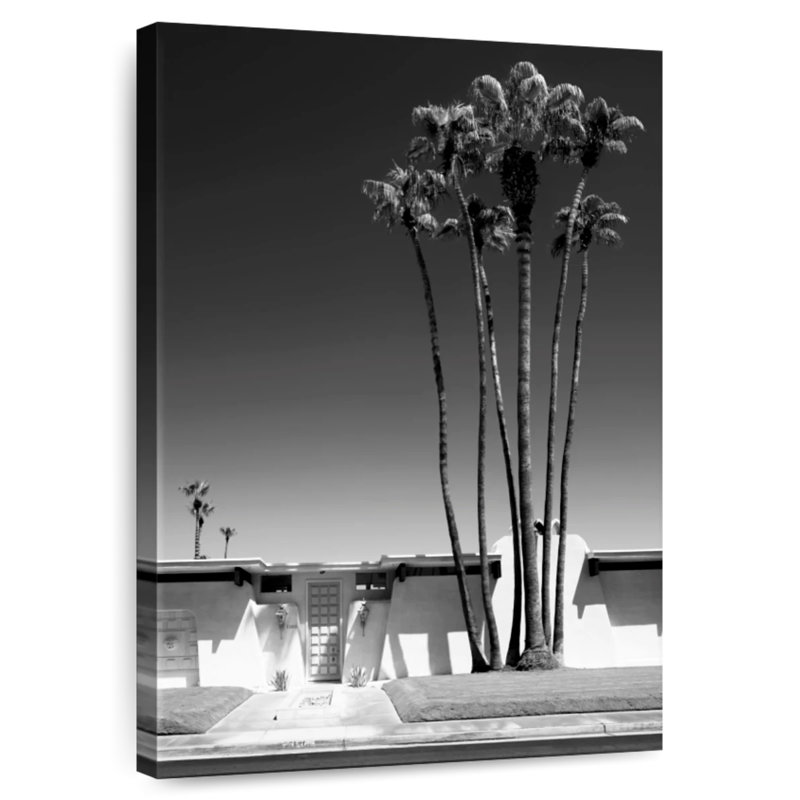 Harnek Black California Palm Springs I, 45" H x 30" W