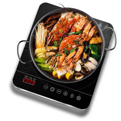 Aaobosi Portable Induction Cooktop With Touch Control, 1800w Countertop Electric Burner With Safety Lock & Precision Temperature Settings