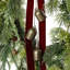 Plastic 55 cm Artificial Wreath